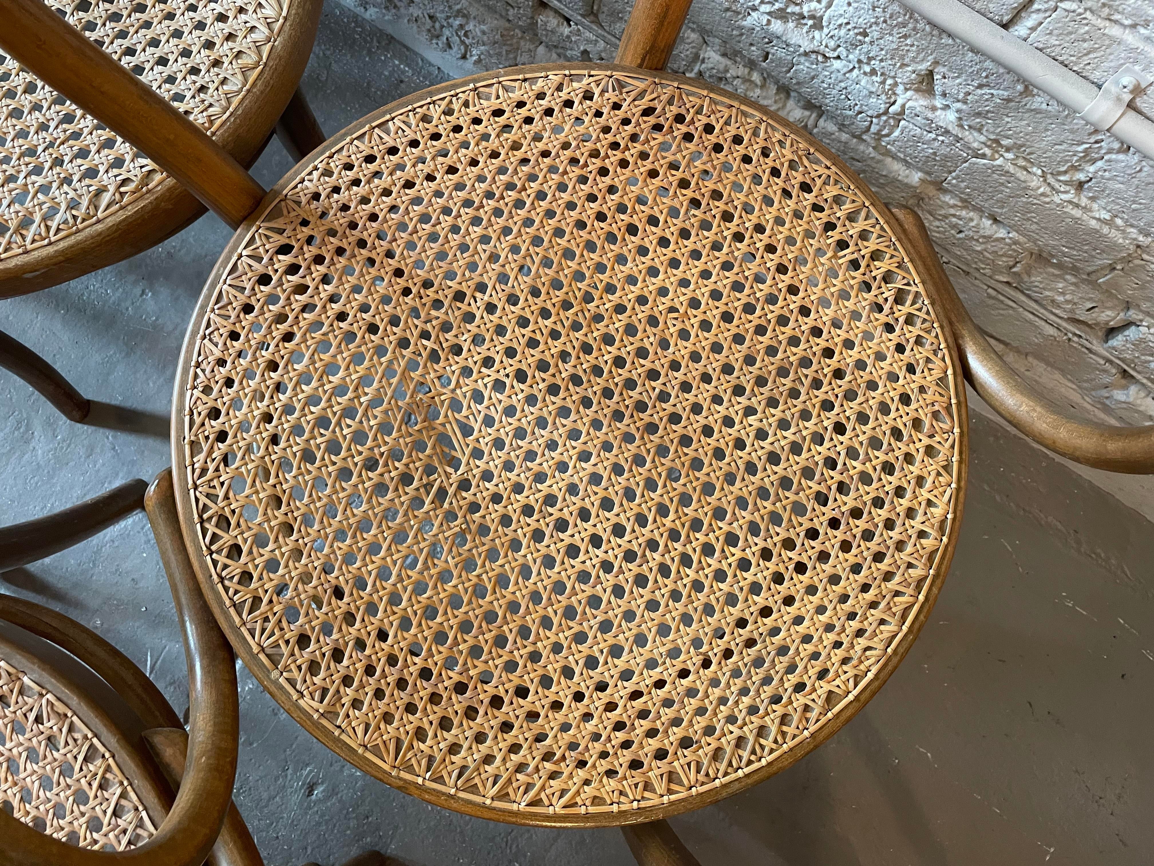 Early 20th Century Bentwood Thonet Style Cane Dining Chairs - Set of 6