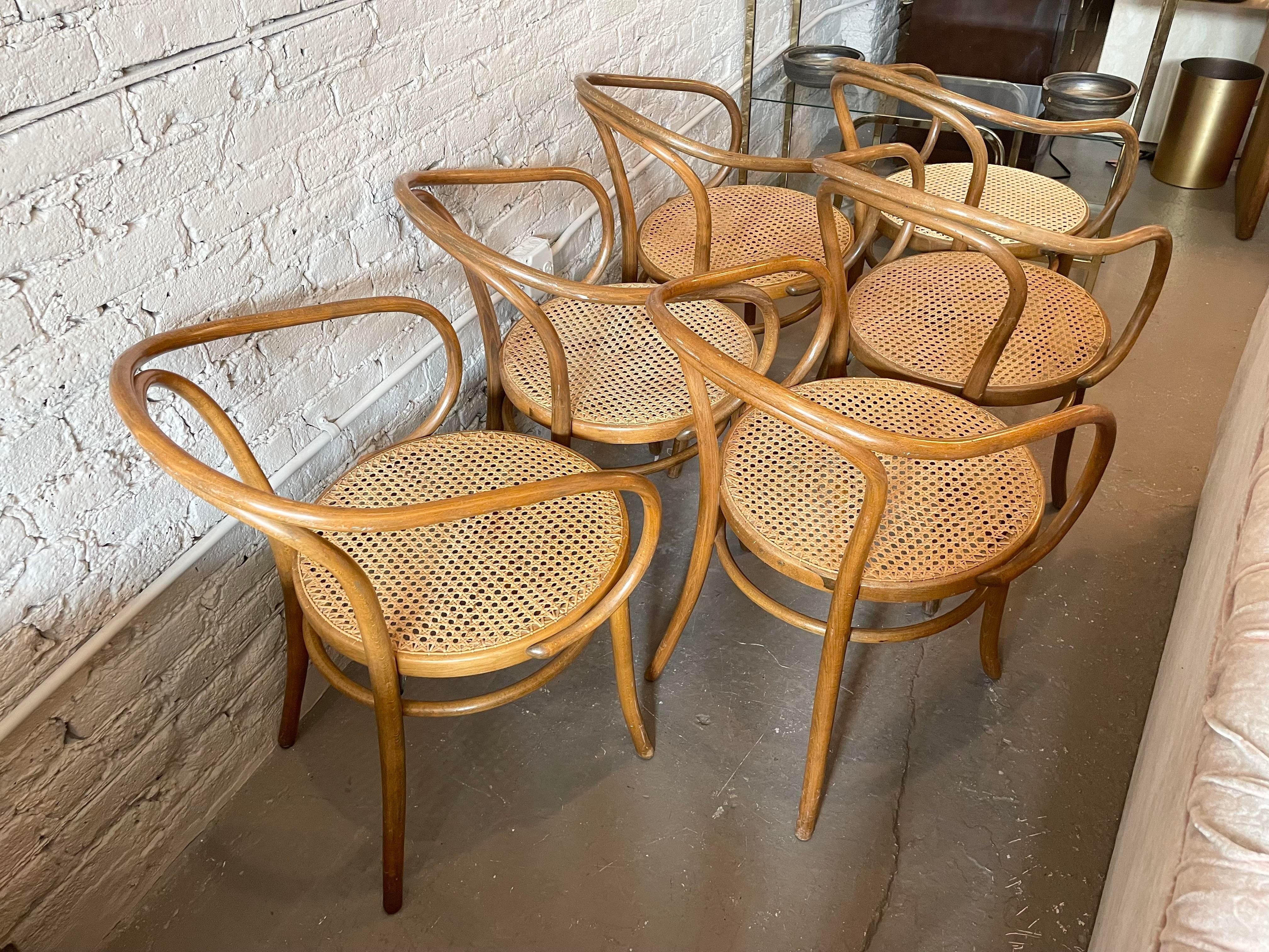 Early 20th Century Bentwood Thonet Style Cane Dining Chairs - Set of 6