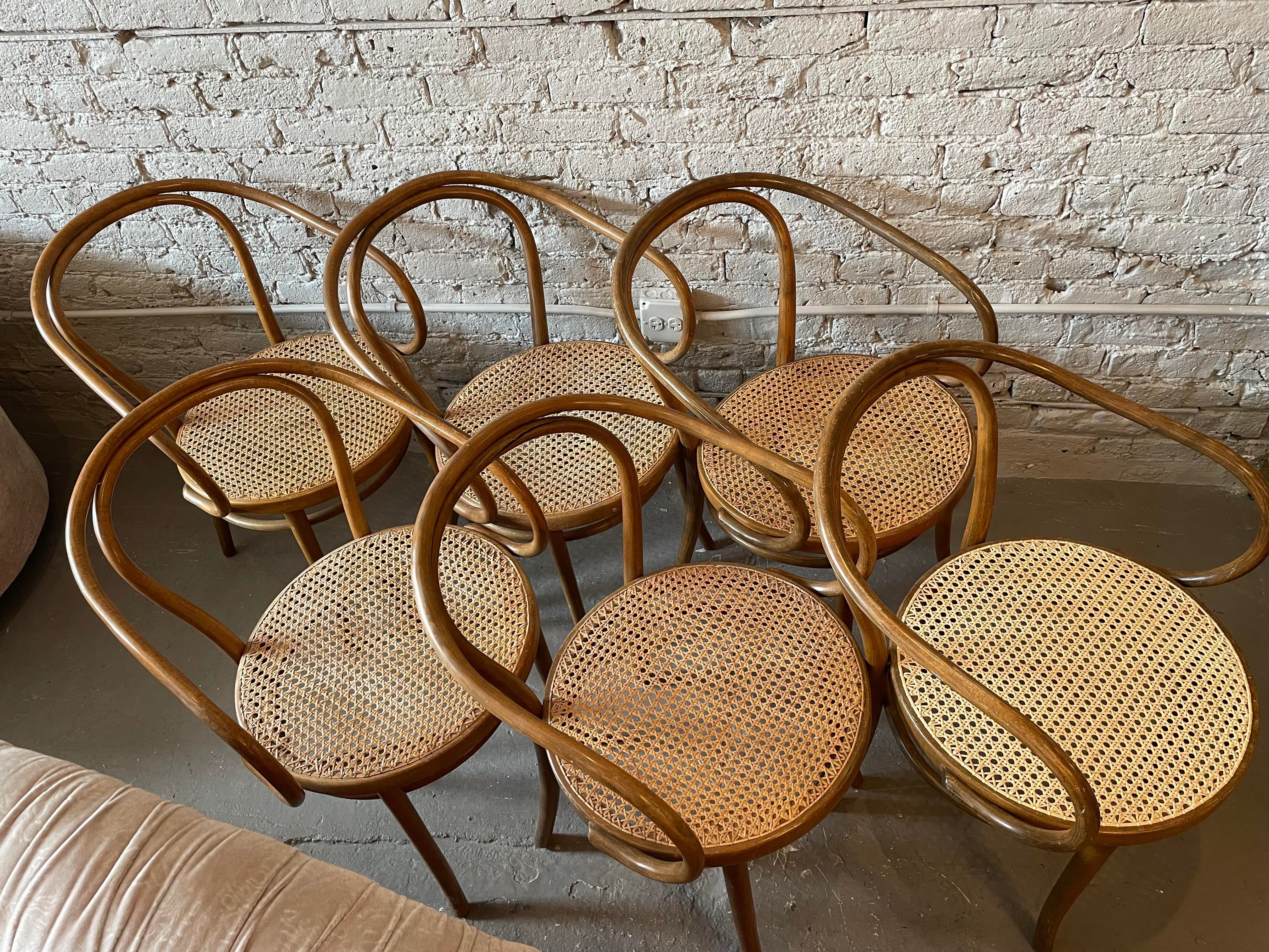 Early 20th Century Bentwood Thonet Style Cane Dining Chairs - Set of 6