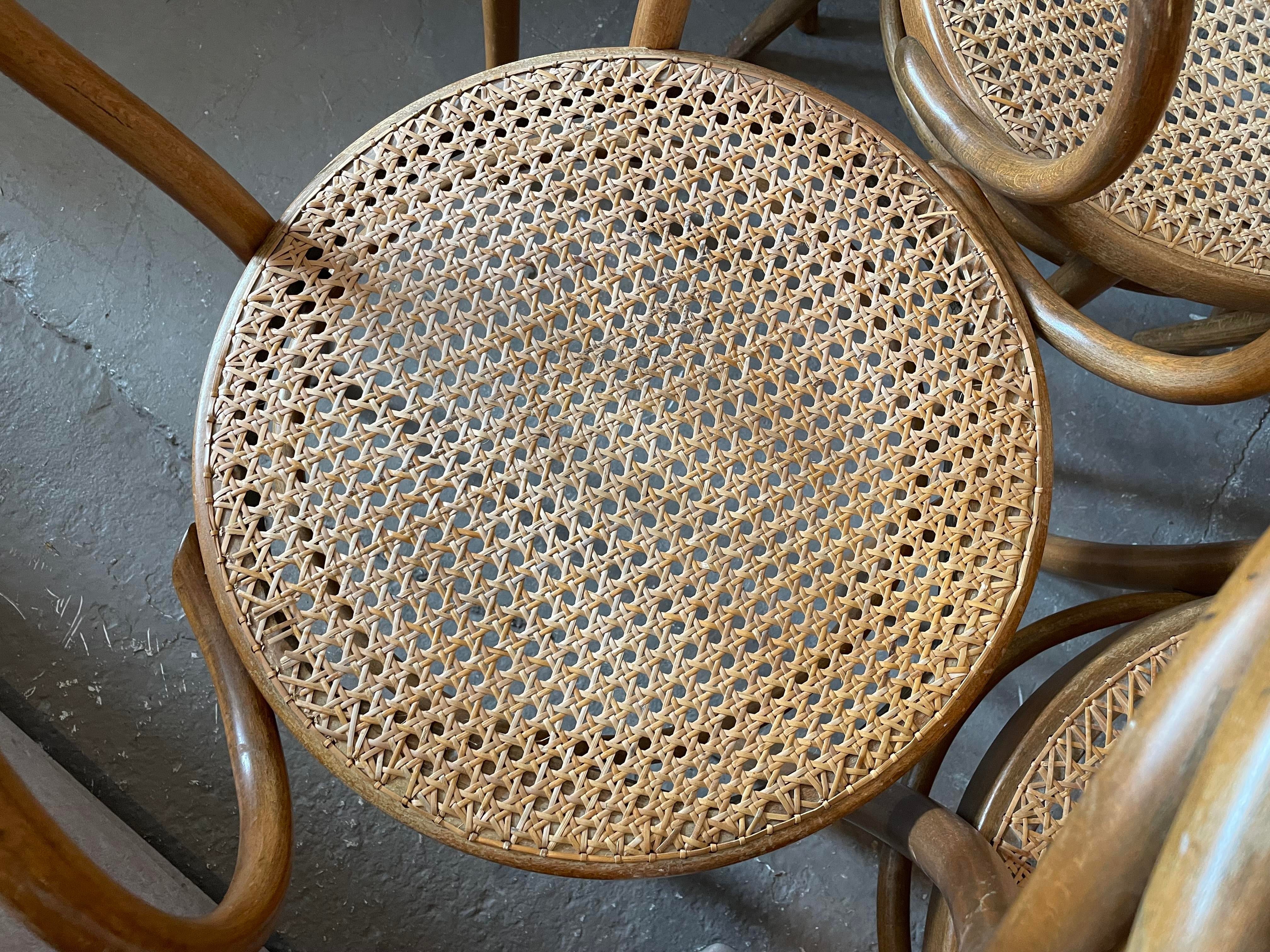 Early 20th Century Bentwood Thonet Style Cane Dining Chairs - Set of 6