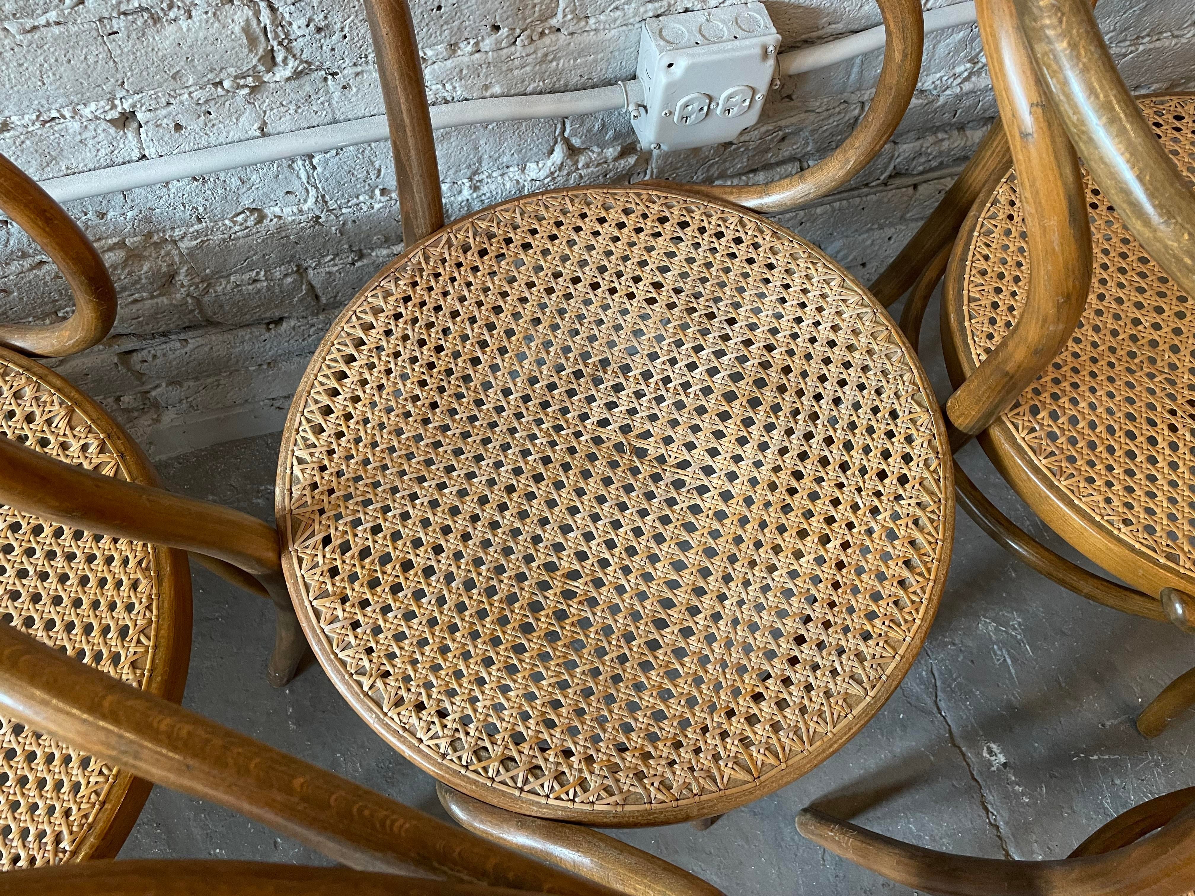 Early 20th Century Bentwood Thonet Style Cane Dining Chairs - Set of 6