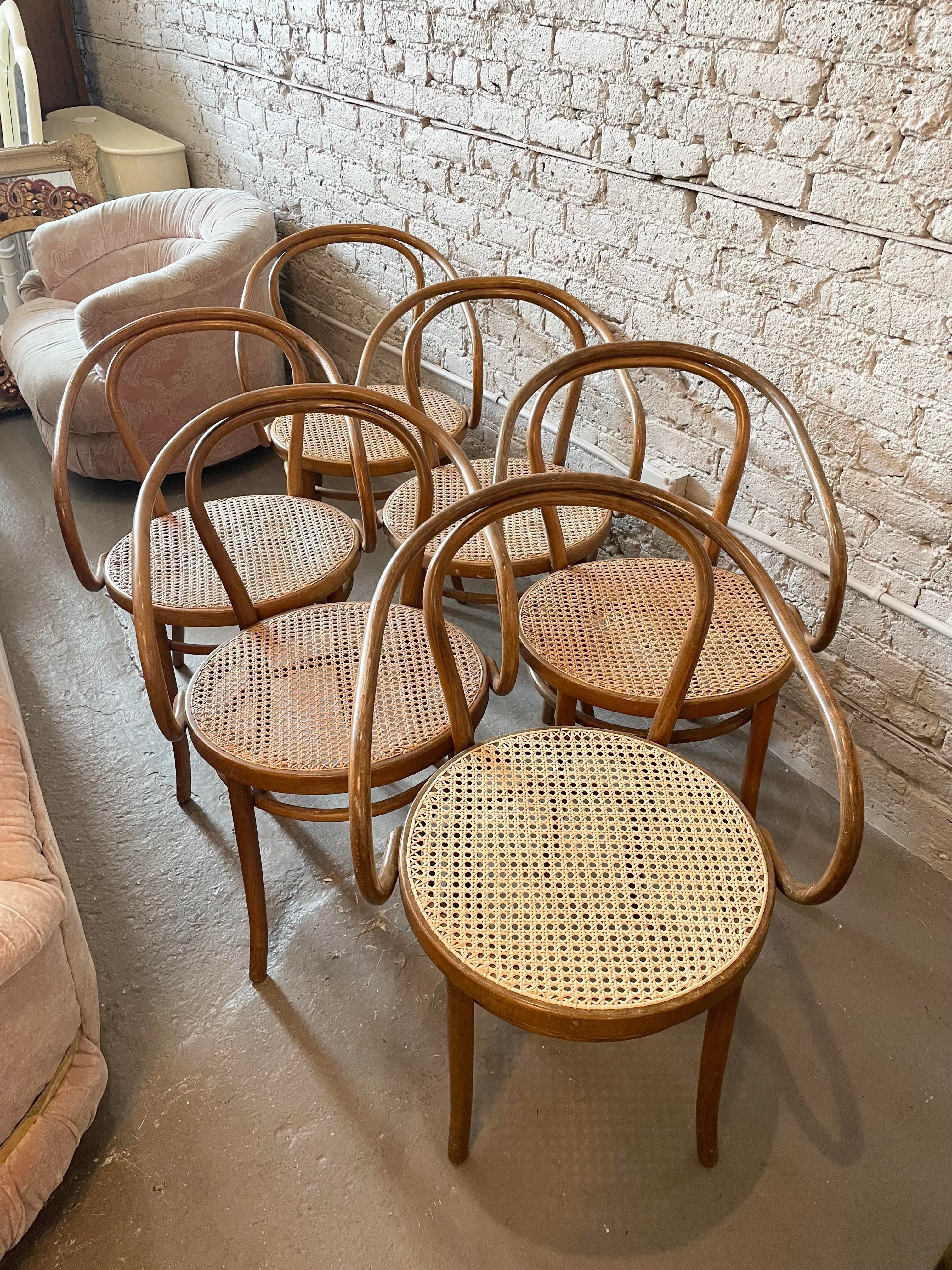 Early 20th Century Bentwood Thonet Style Cane Dining Chairs - Set of 6