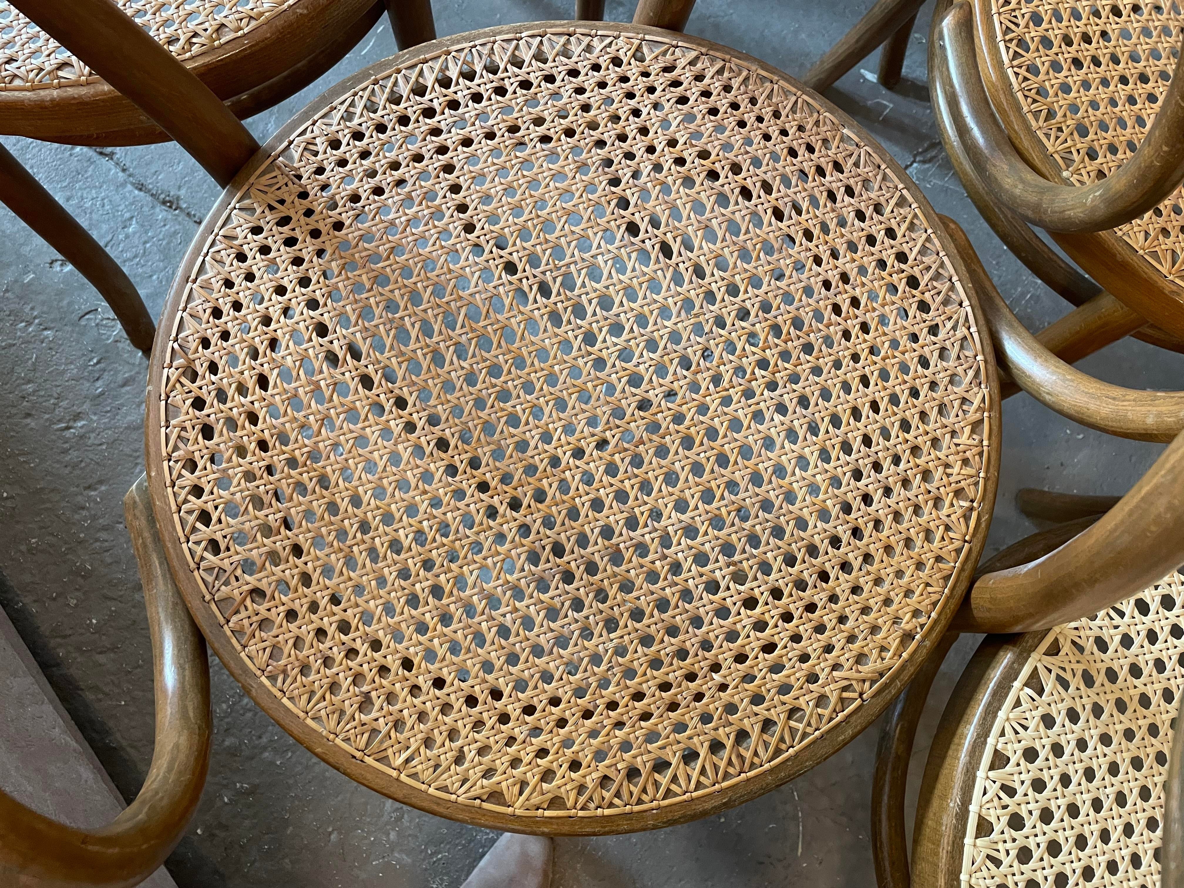 Early 20th Century Bentwood Thonet Style Cane Dining Chairs - Set of 6