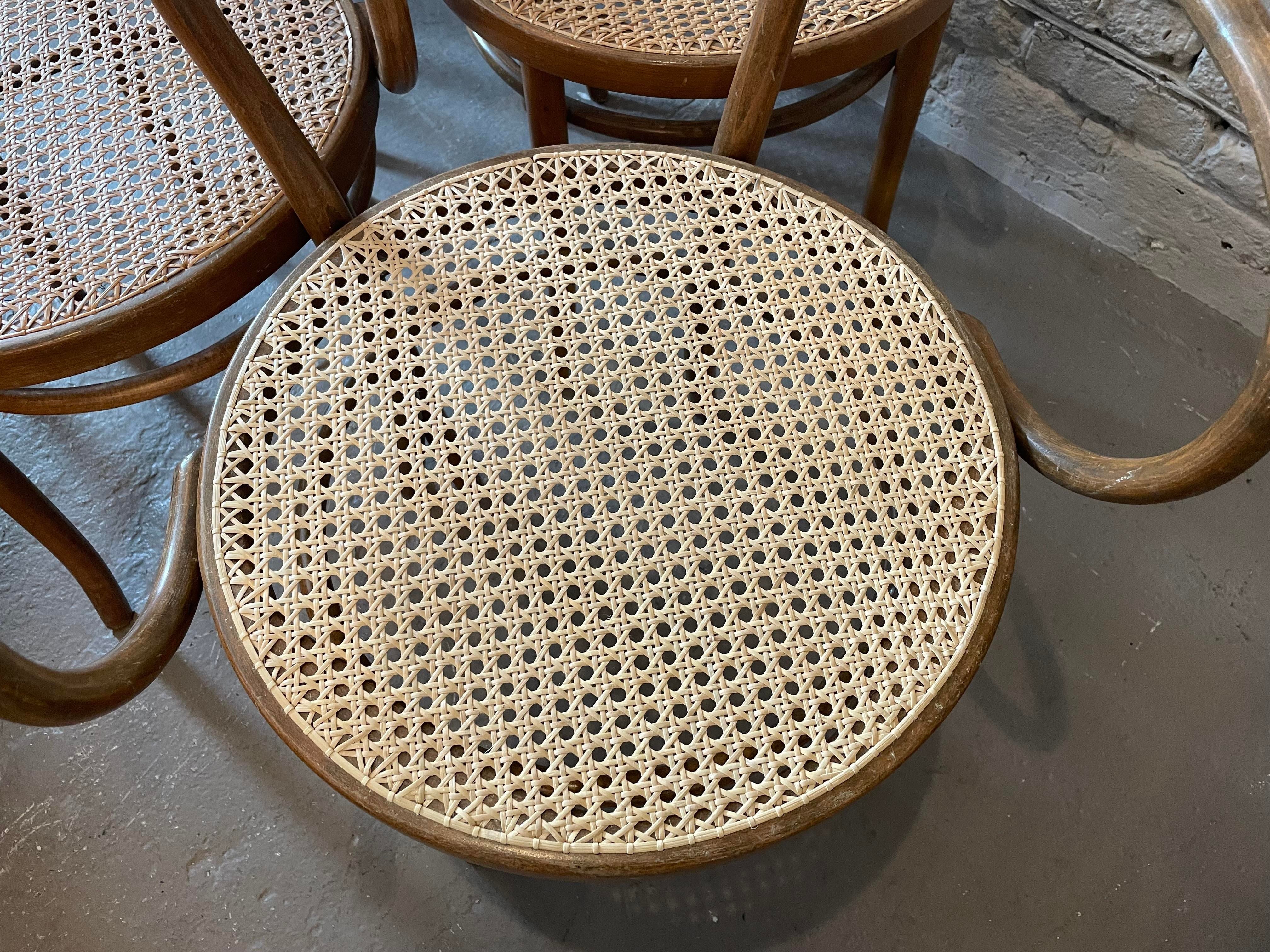 Early 20th Century Bentwood Thonet Style Cane Dining Chairs - Set of 6