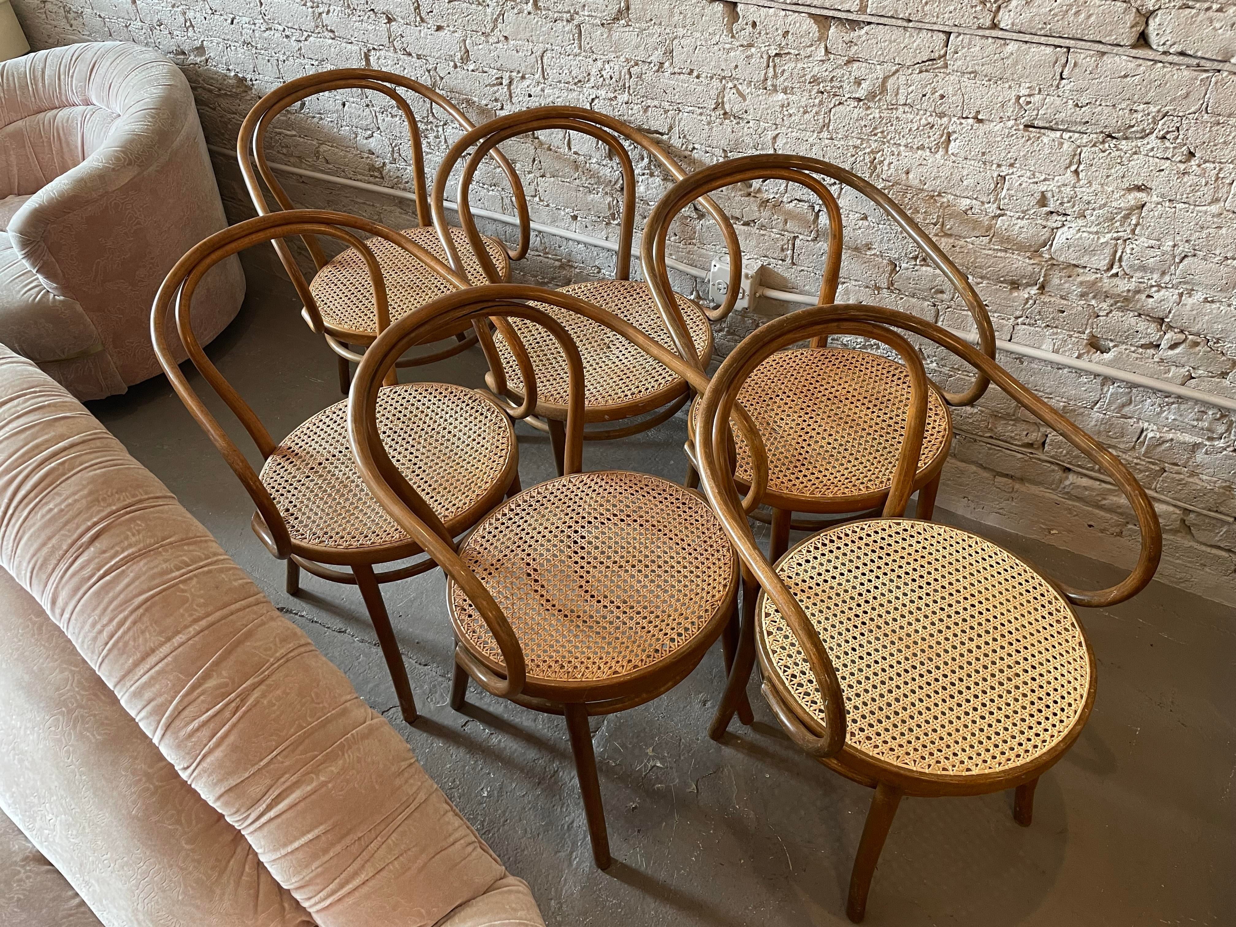 Early 20th Century Bentwood Thonet Style Cane Dining Chairs - Set of 6