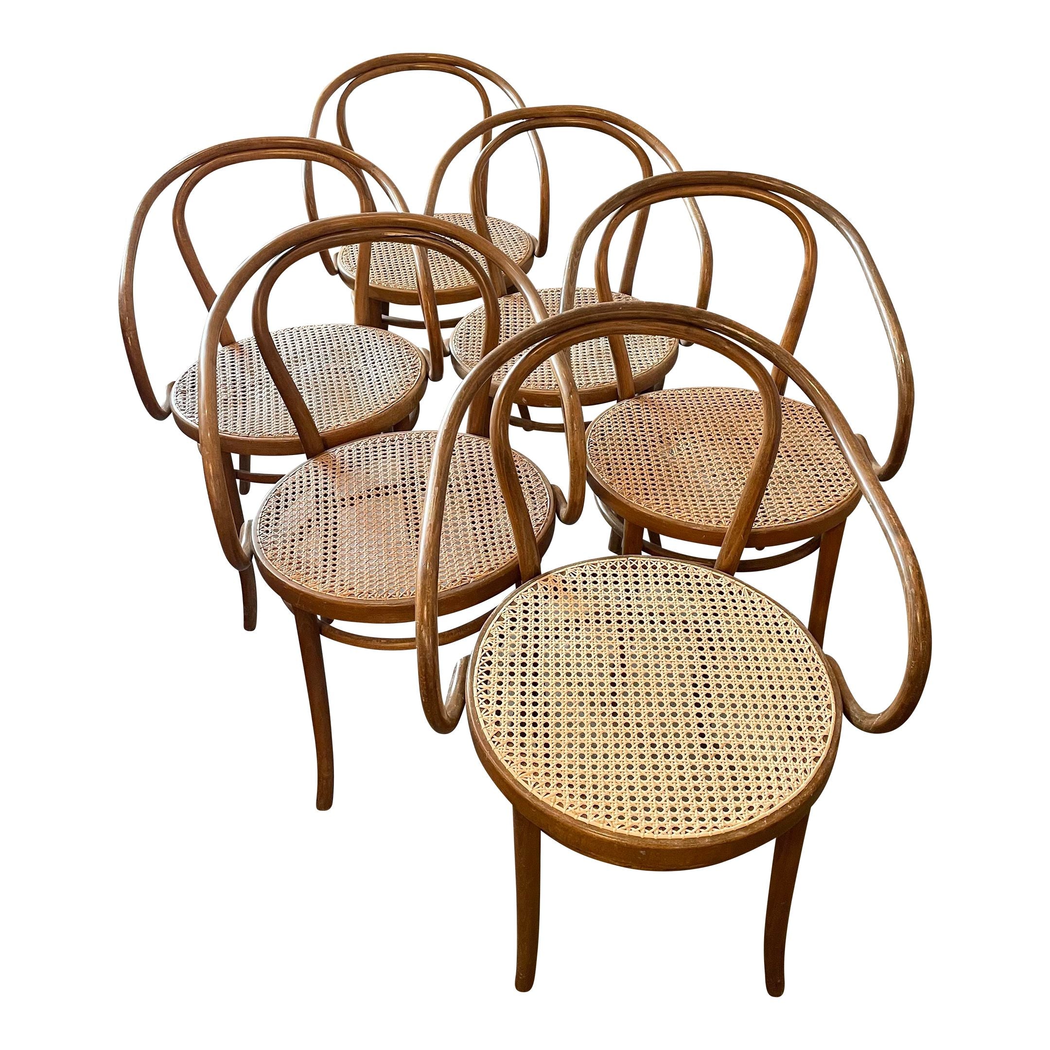 Early 20th Century Bentwood Thonet Style Cane Dining Chairs - Set of 6